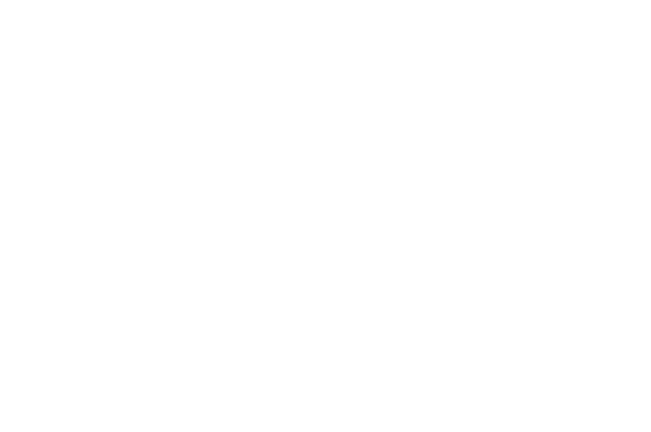 Washington Post Logo